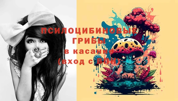 СК Саяногорск